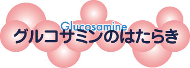 グルコサミンのはたらき