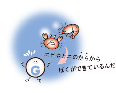 エビやカニの殻から僕ができているんだ