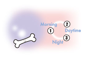 食べ方・一日の摂取量
